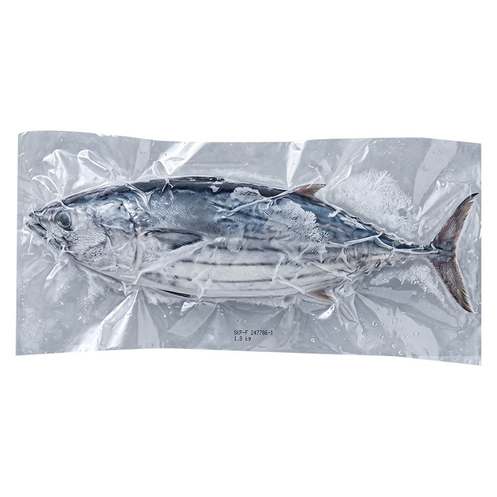 Bonito Frozen Whole Bait Medium 