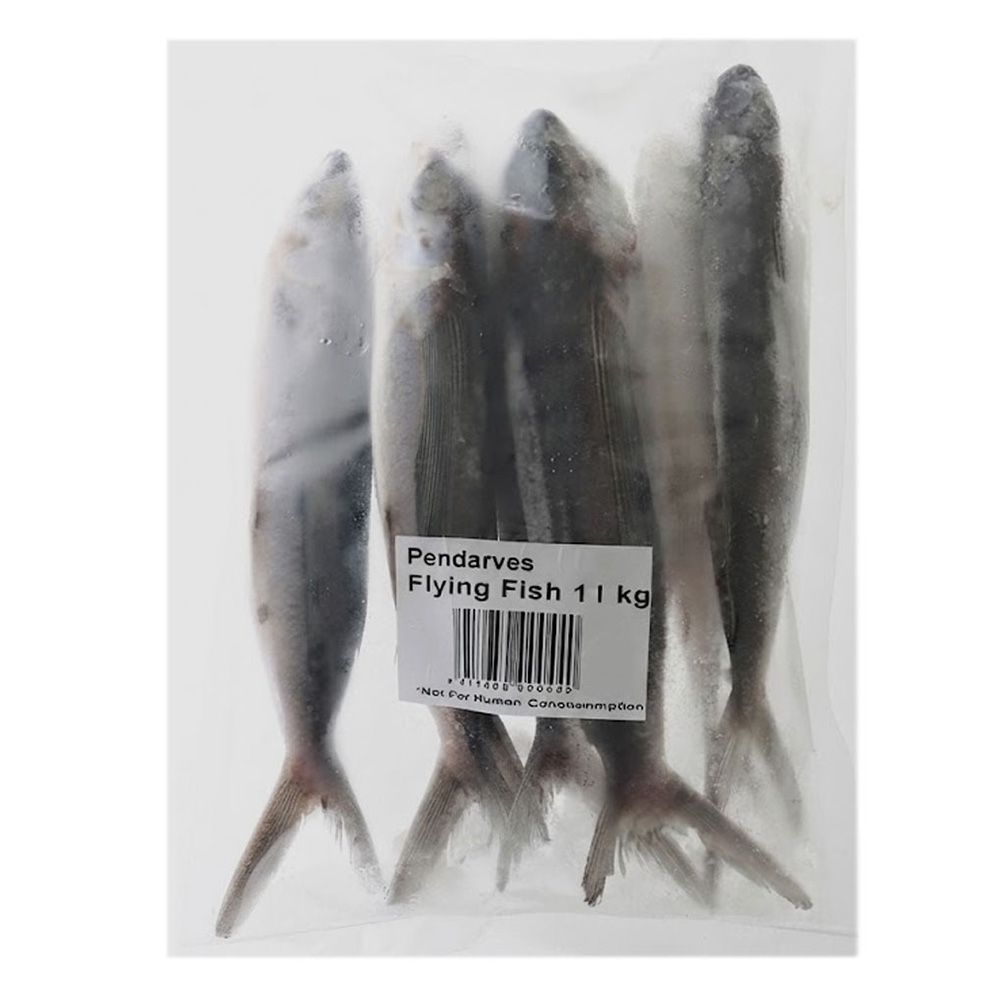 Flying Fish Frozen Bait 1kg