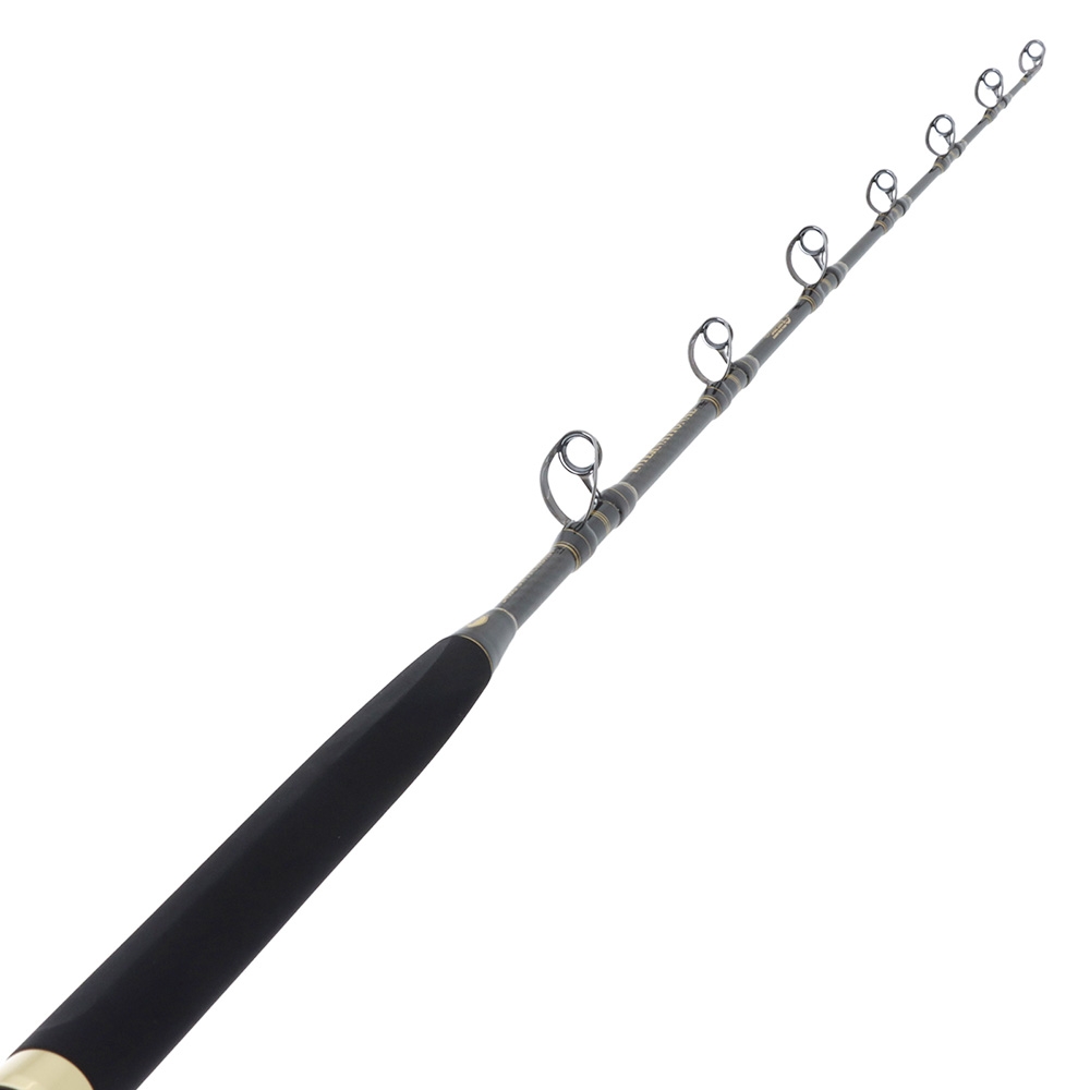 PENN Fathom II 80 International 2-Speed Game Combo 5ft 9in 24kg 1pc