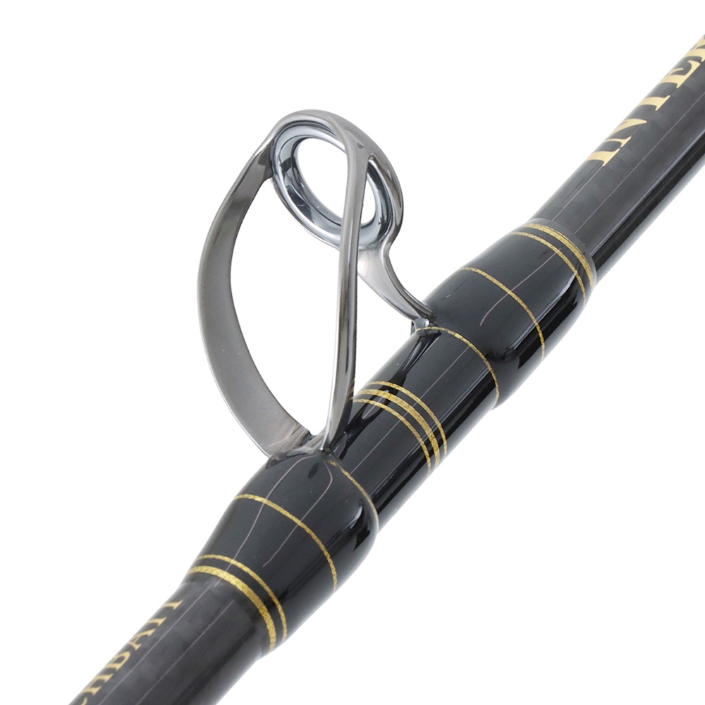 PENN Fathom II 80 International 2-Speed Game Combo 5ft 9in 24kg 1pc