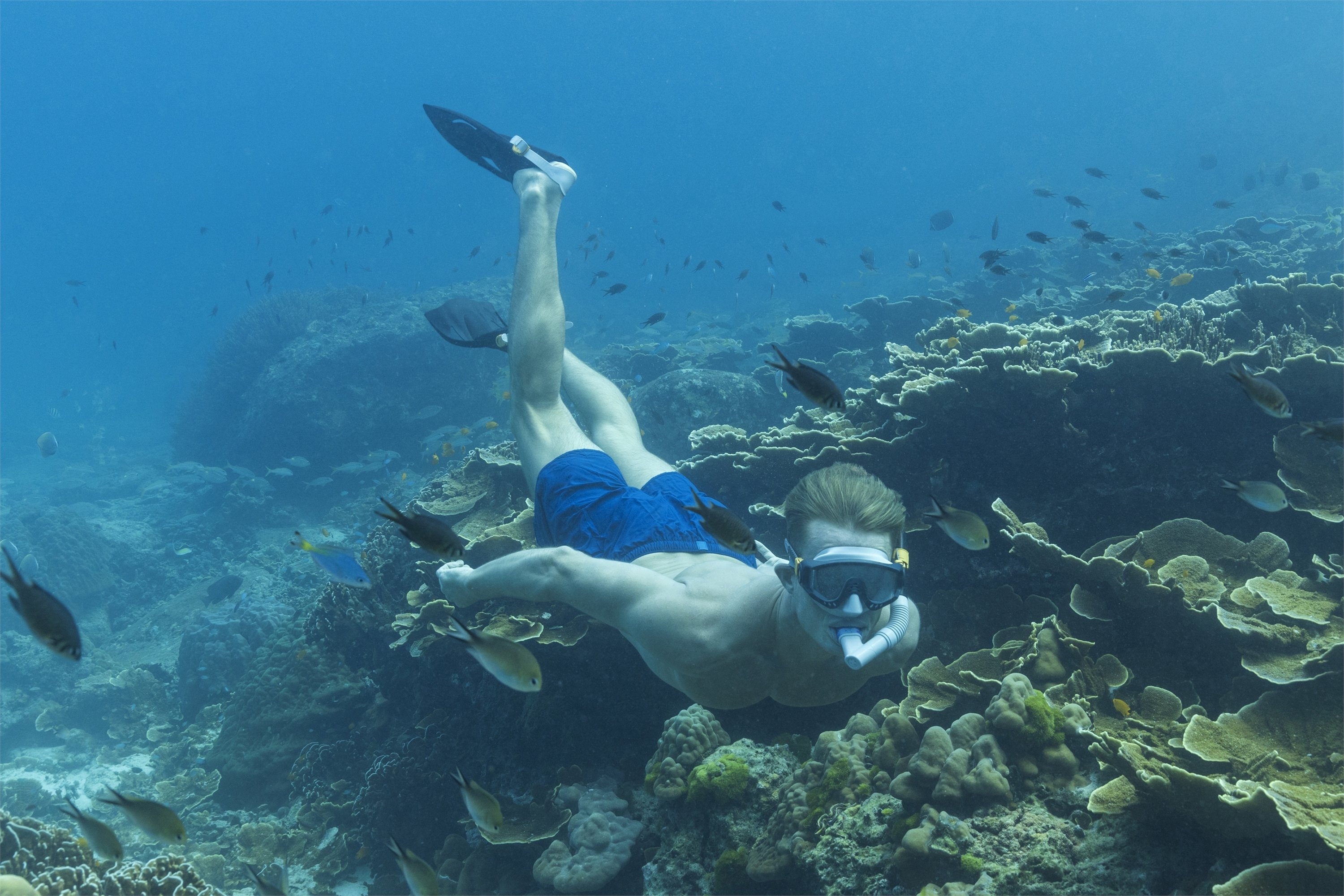 Bestway Spark Wave Mask Snorkel and Fins Set Black Small