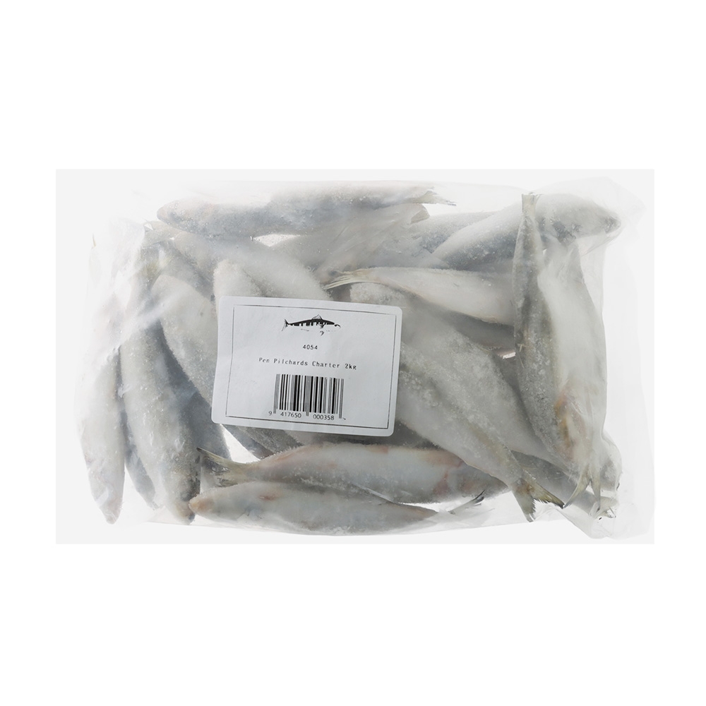 Pendarves Pilchards Charter Pack Special Frozen Bait 2kg