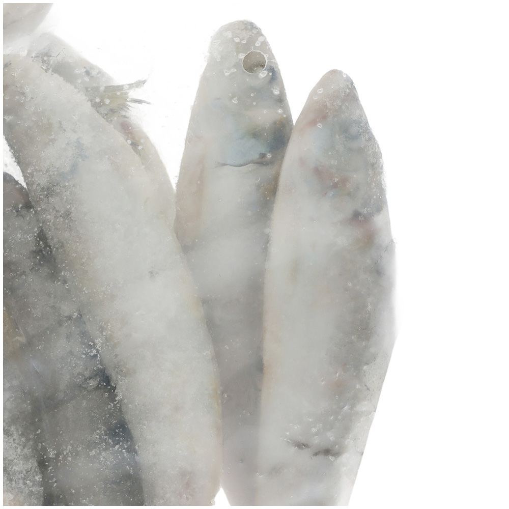 Pendarves Pilchards Charter Pack Special Frozen Bait 2kg