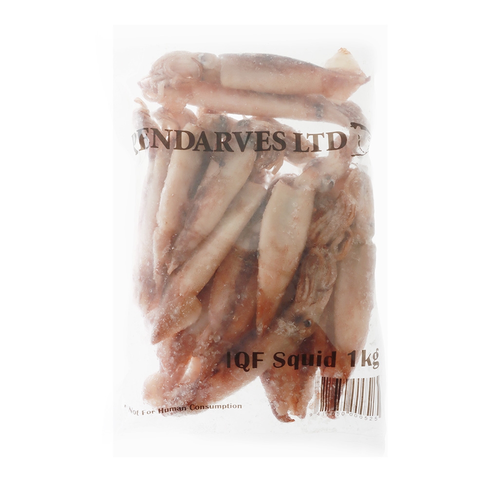 Pendarves Squid Freeflow Frozen Bait 1kg