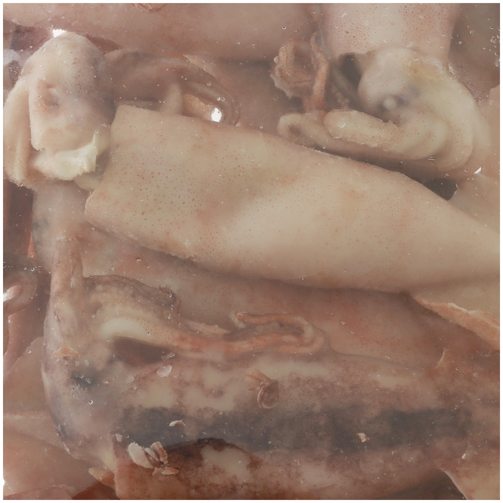 Pendarves Squid Freeflow Frozen Bait 2kg