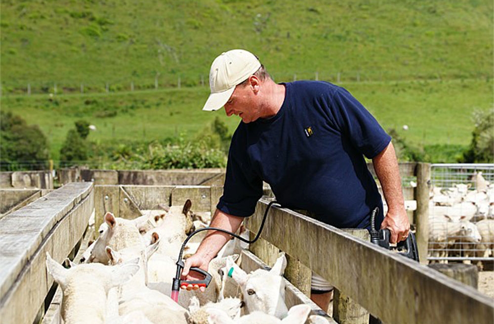 Swazi Microfleece Mens T-Shirt