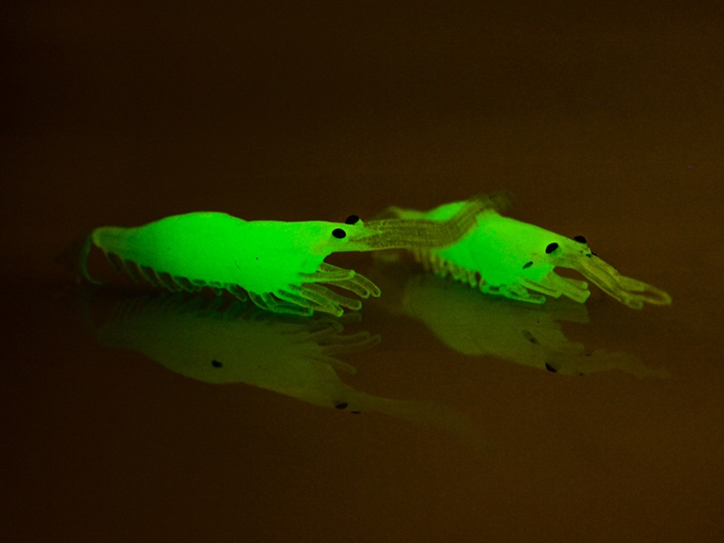 Green Lumo Shrimper Lure 6pcs/pack 2.5in