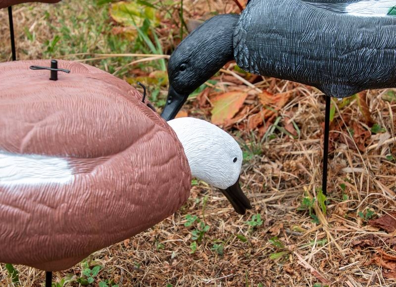 Game On Full Body Paradise Bobble Head Duck Decoy Set Qty 6