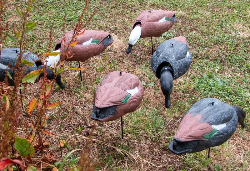 Game On Full Body Paradise Bobble Head Duck Decoy Set Qty 6