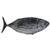 Salty Dog Whole Skipjack / Bonito Medium