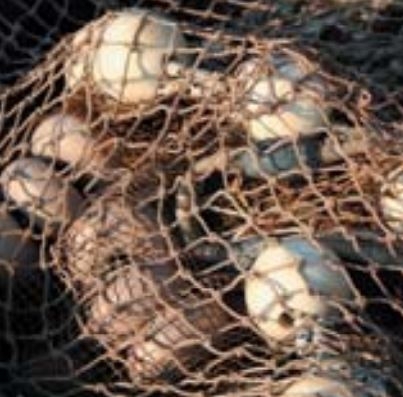 Donaghys Superfilm Netline Braid  9.5mm x 220m 310L