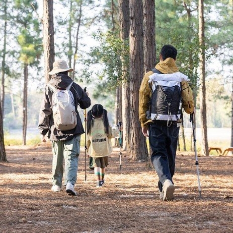 Naturehike ST01 Aluminium Hiking Pole