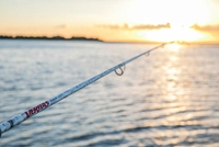 Abu Garcia Veritas 4.0 Spinning Braid Rock Rod 9ft 3in 6-10kg 2pc Thumbnail Abu Garcia Veritas 4.0 Spinning Braid Rock Rod 9ft 3in 6-10kg 2pc