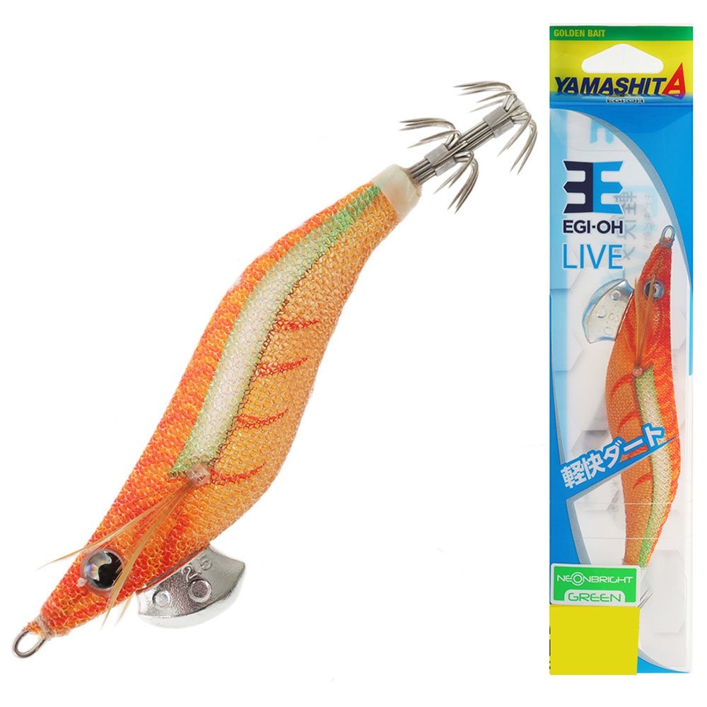 Shimano Sedona FJ 2500HG Ocean Angler CalamariStick V3 Squid Fishing Package 8ft 3in PE0.4-1 2pc