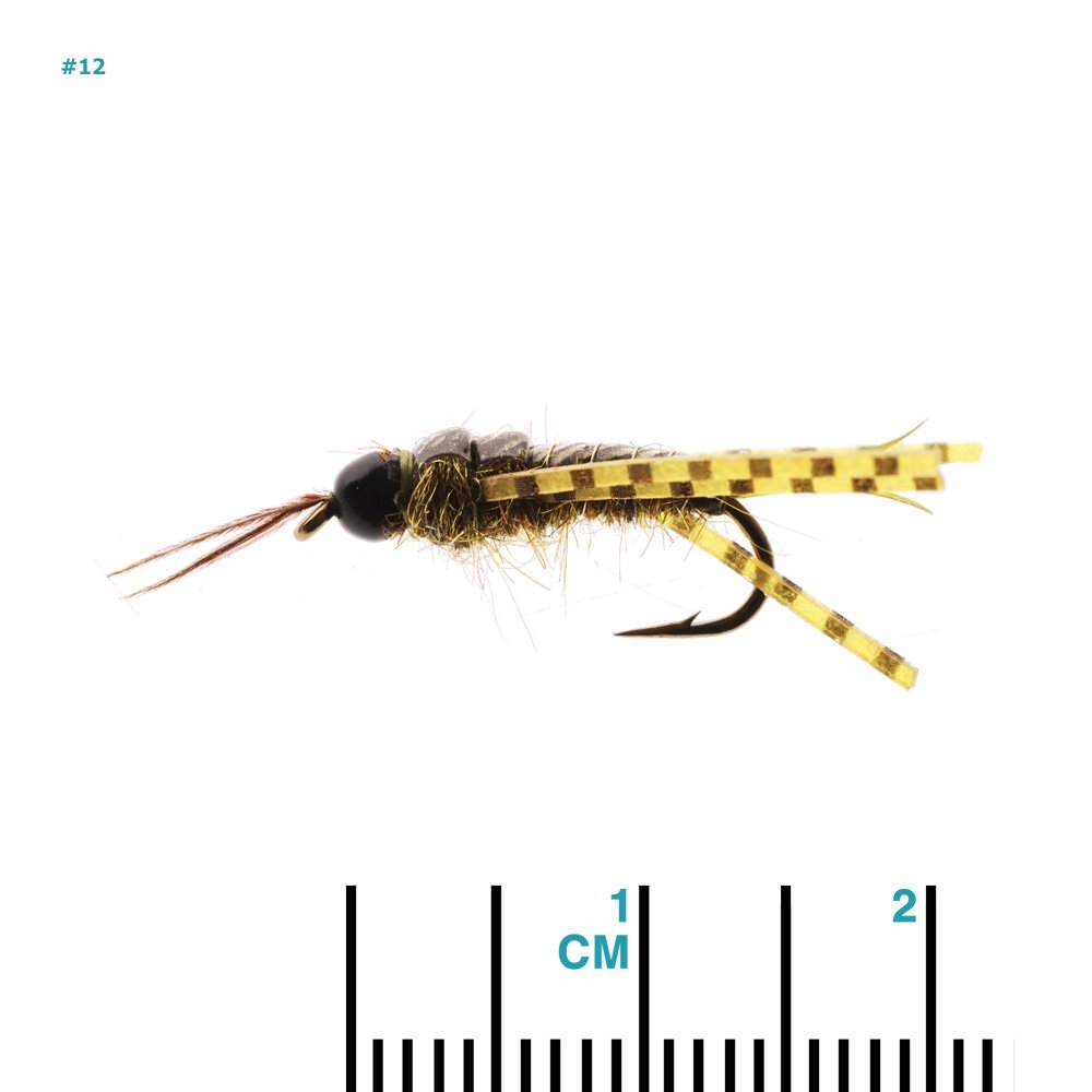 Feather Merchants Skwala Stonefly Nymph TB Olive