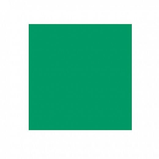 Hella Marine Green Symbol Card without Symbol