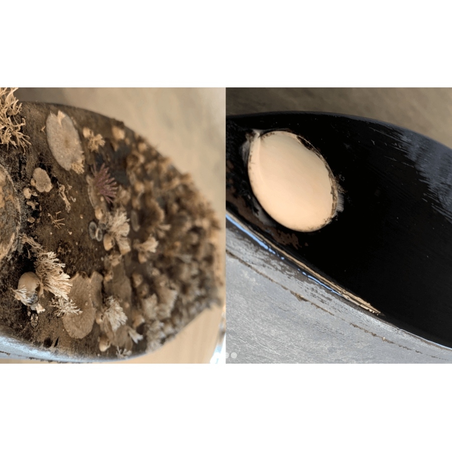 Foulfree Transducer Coating