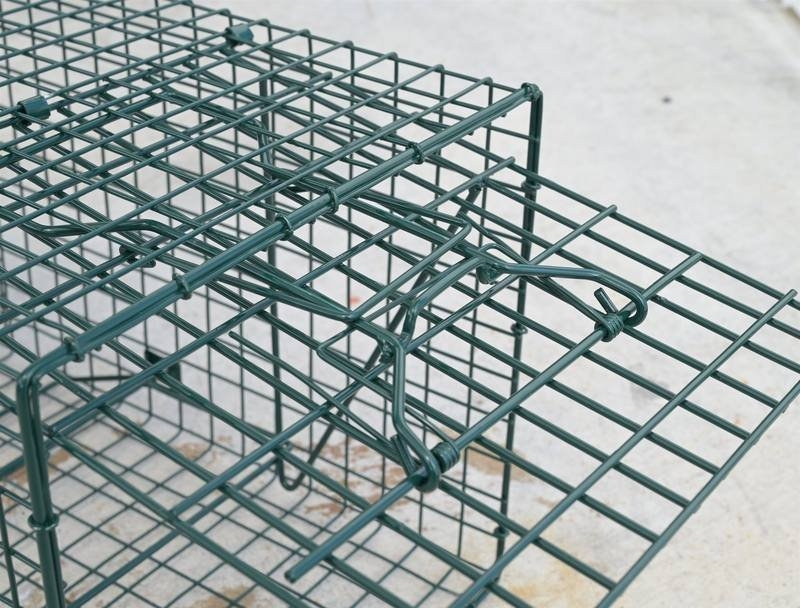 Outdoor Outfitters Bird Trap Cage Double Door with Mirror