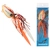 Shimano Lucanus Slow Jig 150g Orange White