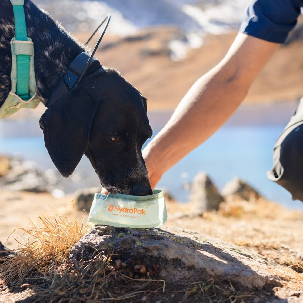HydraPak Rover Collapsible Dog Bowl 500ml Green