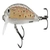 Rapala X-Rap Countdown Lure 7cm Brown Trout