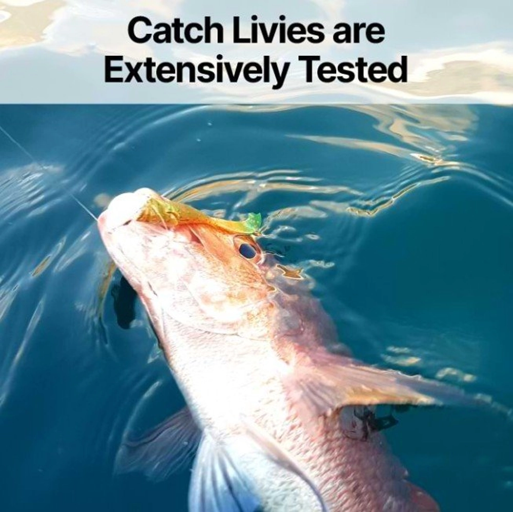 Catch Black Label Livies Curly Tail Soft Bait 6in Qty 4 Catch Black Label Livies Curly Tail Soft Bait 6in Qty 4