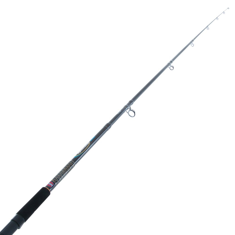 Daiwa Procyon 5500 PENN Spinfisher Surf Combo with Beach Spike and Bait Bucket 13ft 8-12kg 3pc