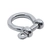 Sinox S370CP 316 Anchor Shackle M6