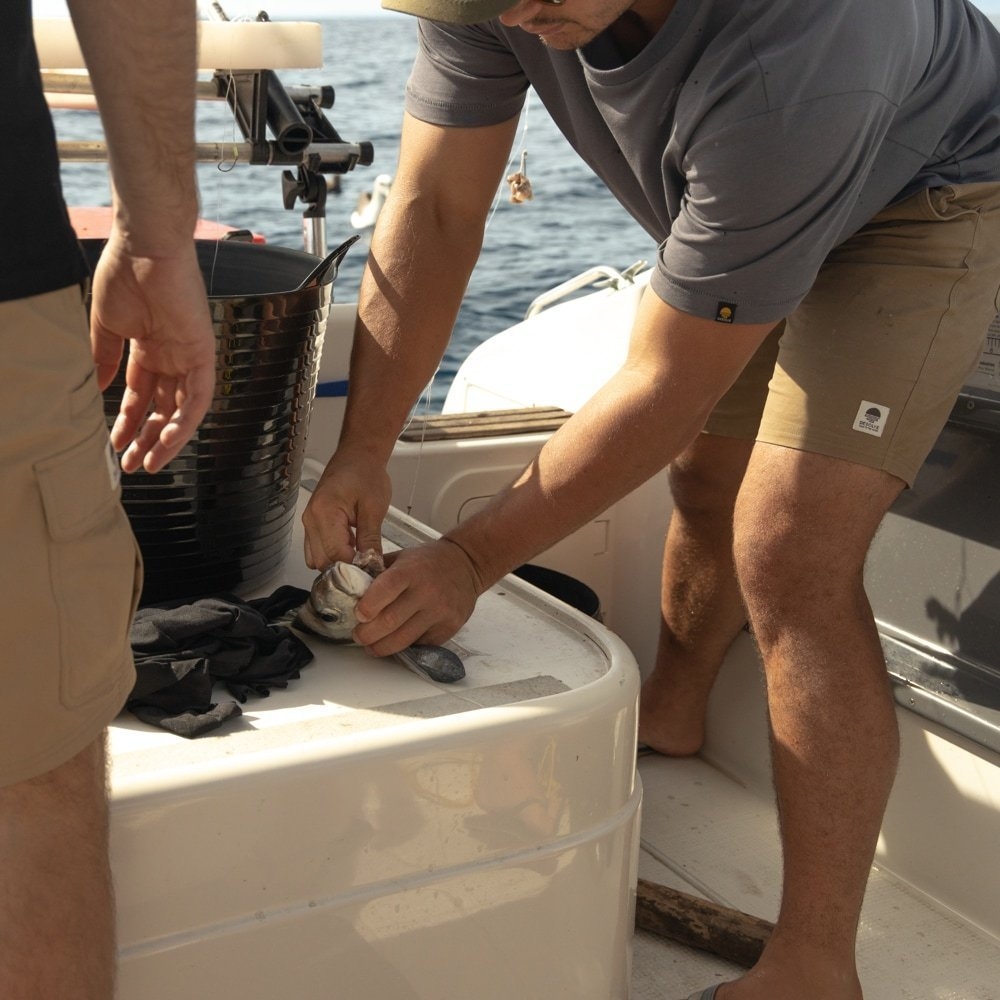 Desolve Helm Mens Shorts