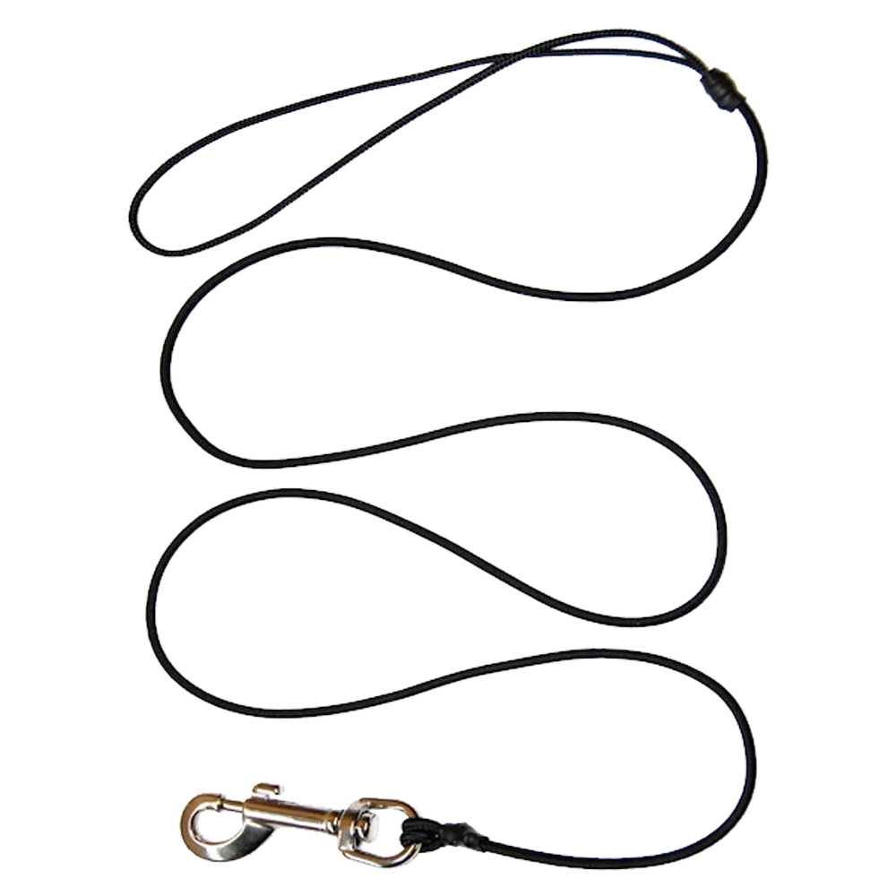 Rob Fort Bungee Rod and Paddle Leash with Swivel Clip