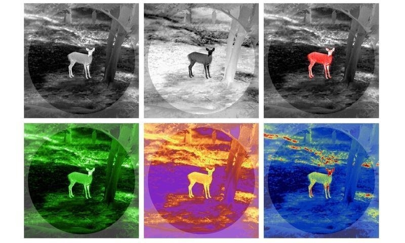 Guide Infrared TN650 2.8-22.4x OLED Thermal Binocular