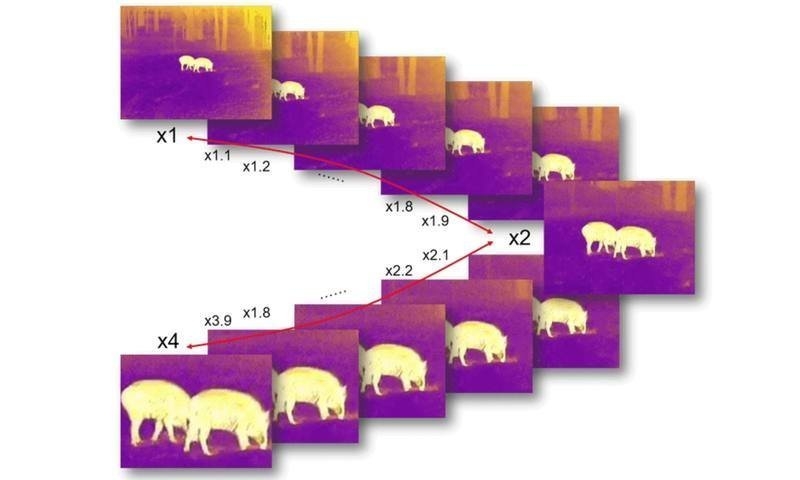 Guide Infrared TN650 2.8-22.4x OLED Thermal Binocular