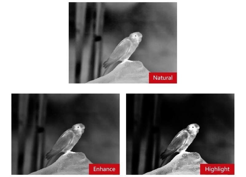 Guide Infrared TN650 2.8-22.4x OLED Thermal Binocular