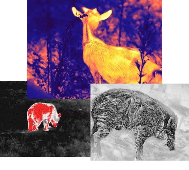 Guide Infrared TD211 Monocular Thermal Handheld