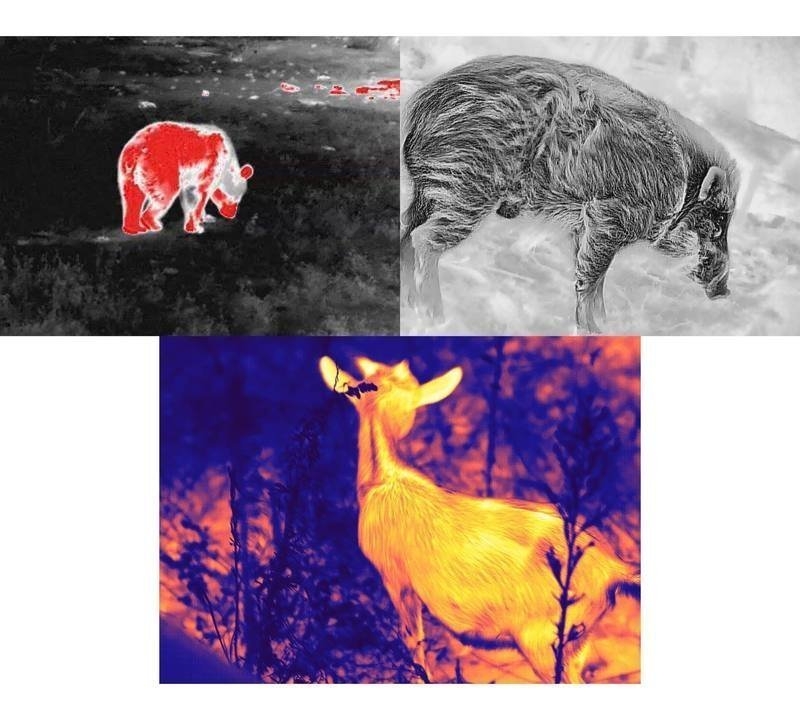 Guide Infrared TD421 Monocular Handheld Thermal