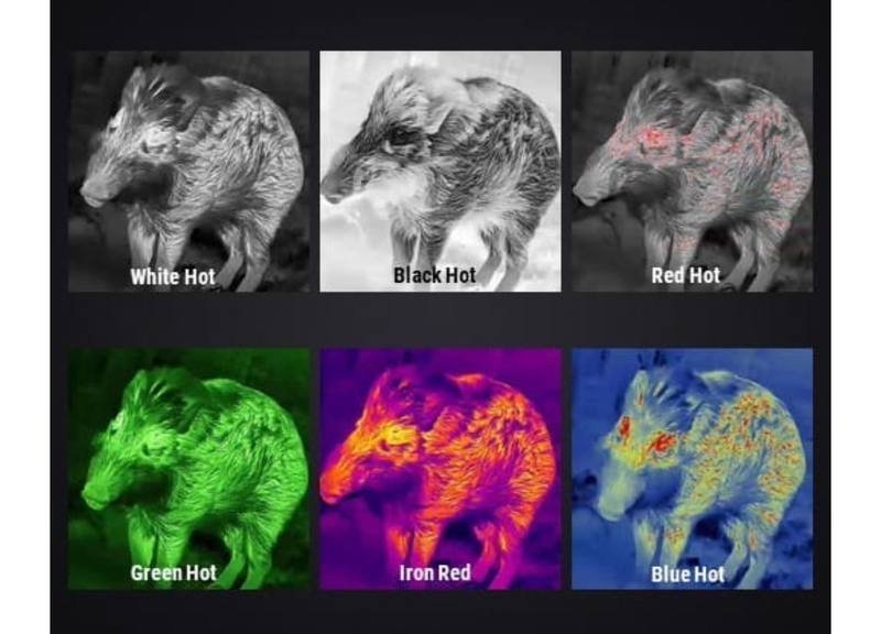 Guide Infrared TR430 Thermal Scope with Extended Mount