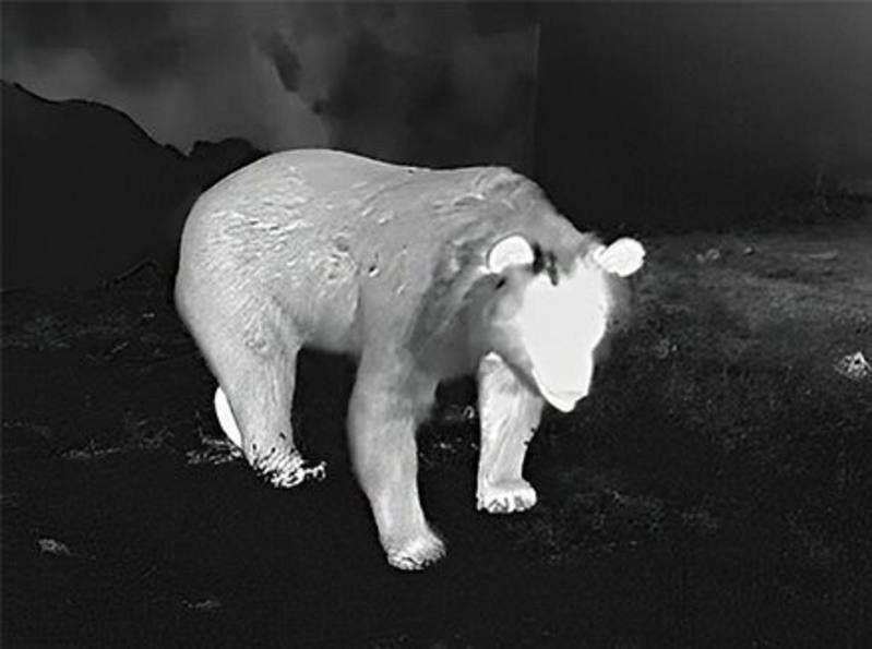 Guide Infrared TU451 Thermal Imaging Scope with Laser Rangefinder 50mm 50Hz