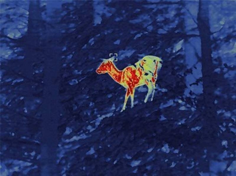 Guide Infrared TU451 Thermal Imaging Scope with Laser Rangefinder 50mm 50Hz