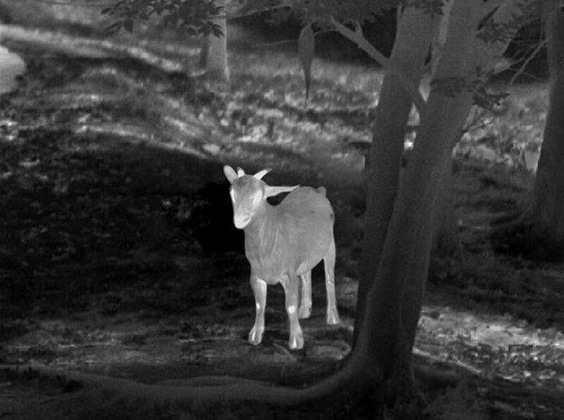 Guide Infrared TD633L Handheld Thermal Monocular 35mm 50Hz