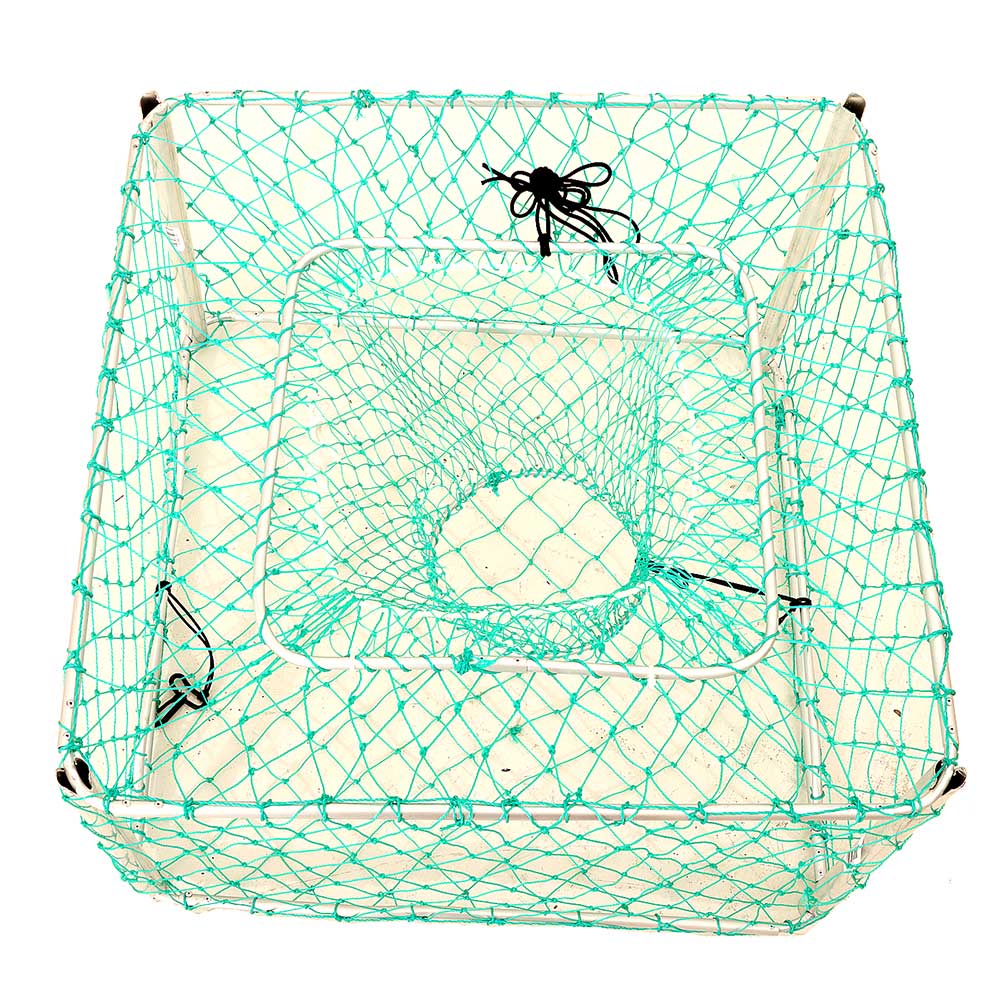 Jarvis Walker Collapsible Crayfish/Lobster Pot 65x65x38cm