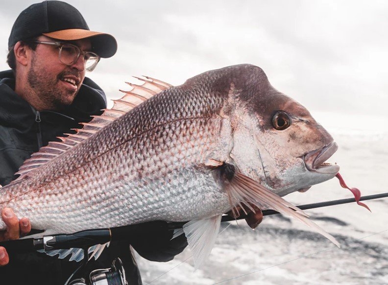 Daiwa BaitJunkie Wave Minnow Soft Bait 5.5in/140mm Qty 4