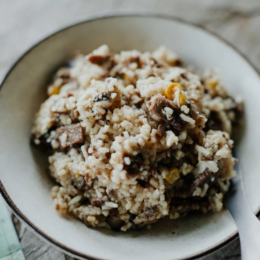 Back Country Cuisine Freeze Dried Meal Beef Stroganoff