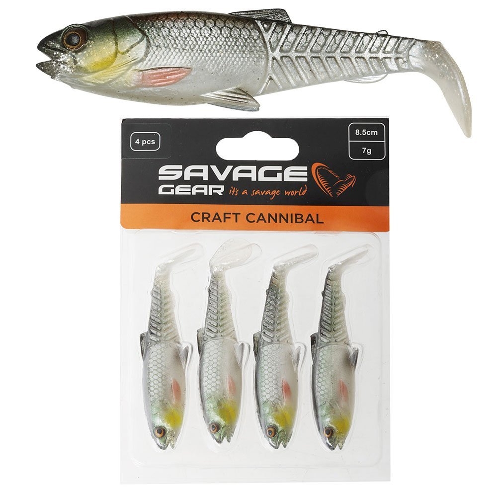 Daiwa BG16 2500 Legalis Light Soft Bait Combo with Braid and Softbait 8ft 6in 2-5kg 2pc