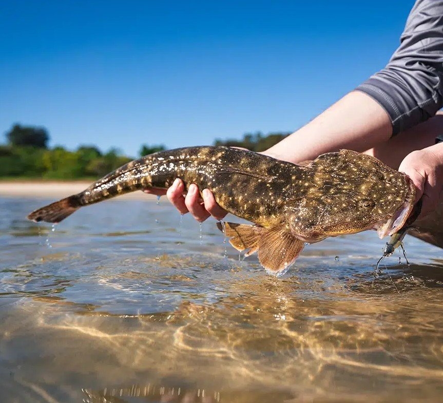 Berkley Gulp Squid Saltwater Soft Bait 3in / 7.5cm Qty 6