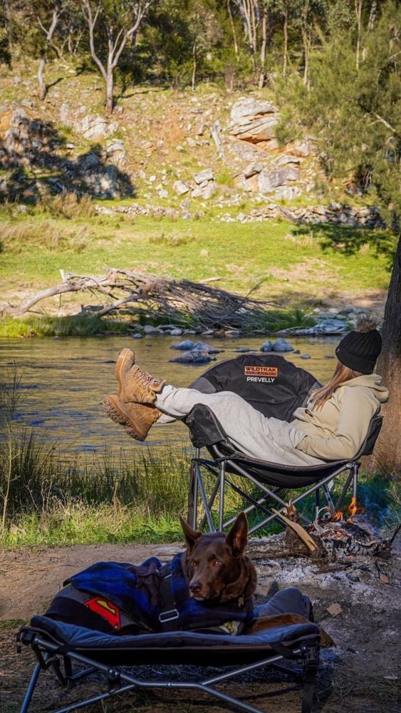 Wildtrak Deluxe Folding Pet Bed 60x60cm