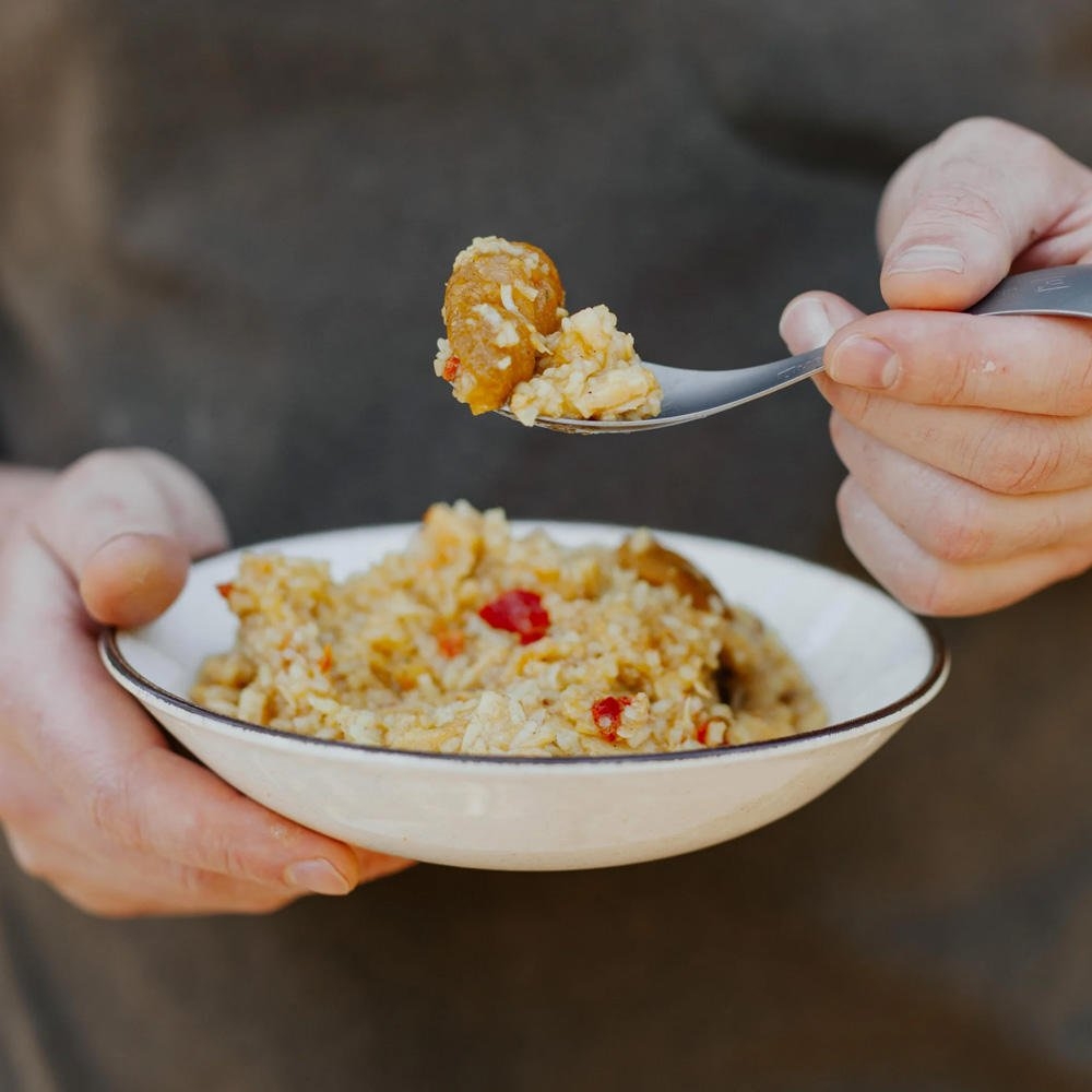 Back Country Cuisine Freeze Dried Meal Apricot Chicken 90g