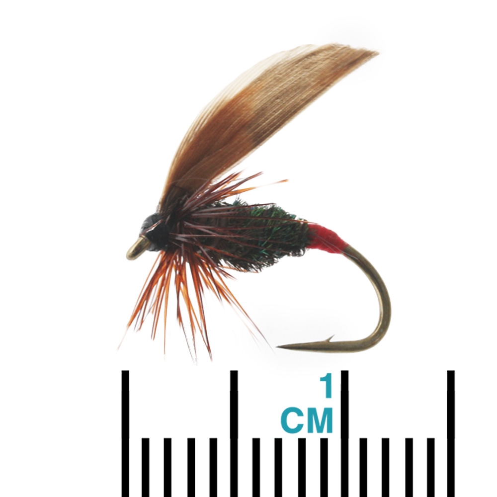 Fishfighter Red Tip Governor Size 12 Wet Fly