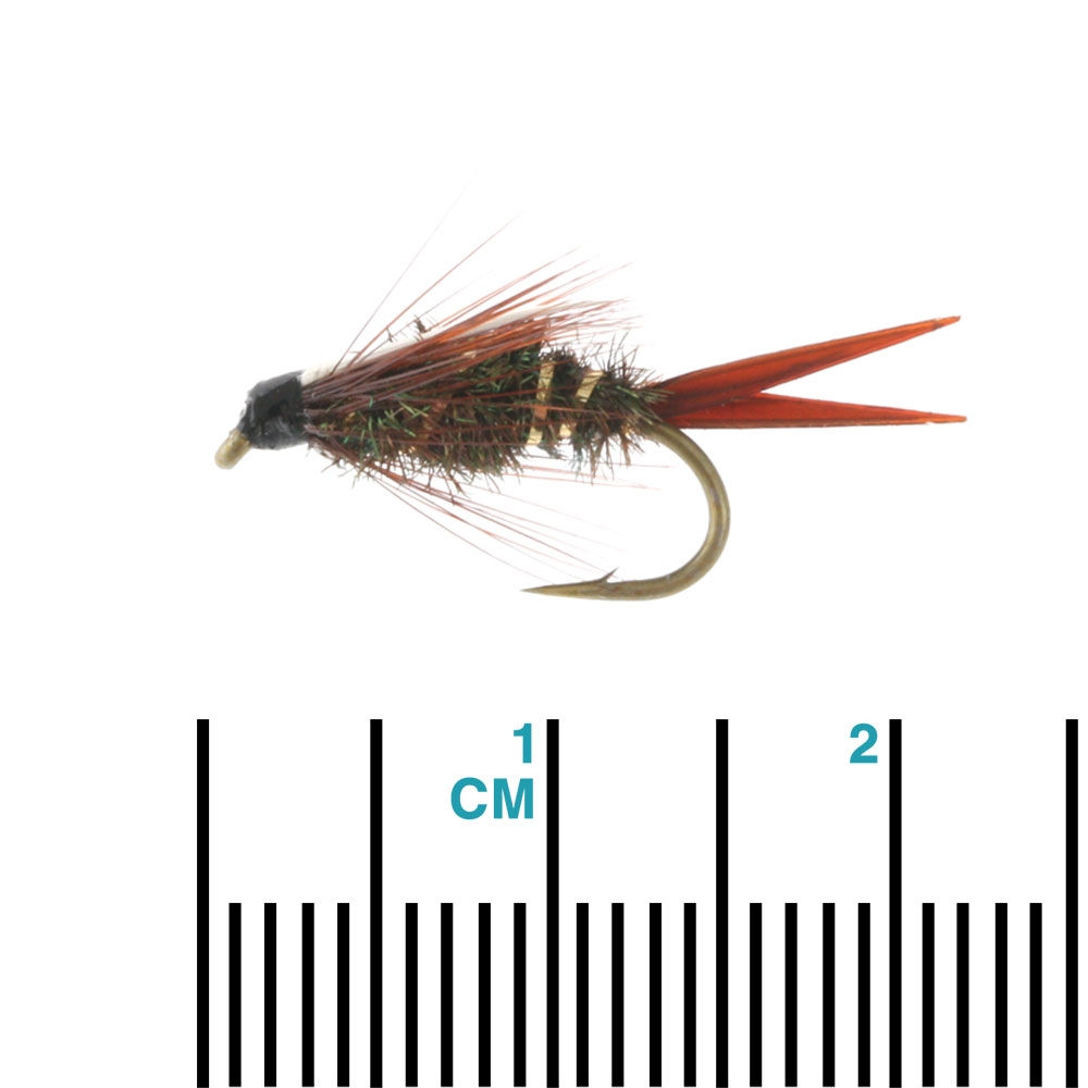 Fishfighter Prince Weighted Nymph Size 10