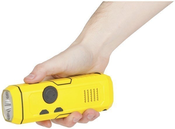 Techlight 4-in-1 Dynamo FM/AM Radio / Torch / Hand Crank Emergency Charger
