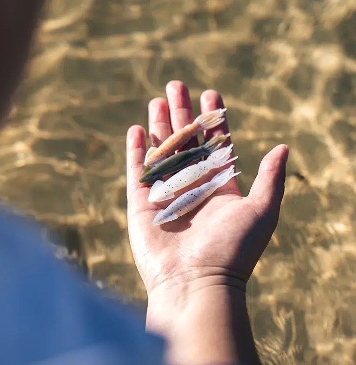 Berkley Gulp Squid Saltwater Soft Bait 3in / 7.5cm Qty 6